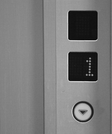 �������� ����